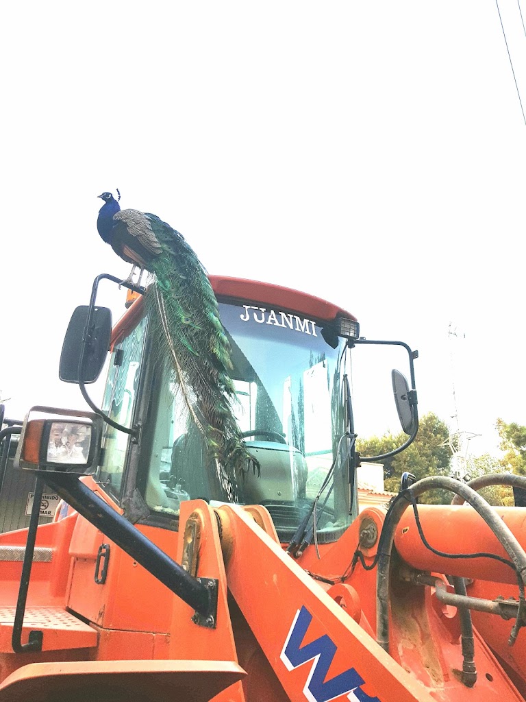 Grupo Aletac De Petroleos S A