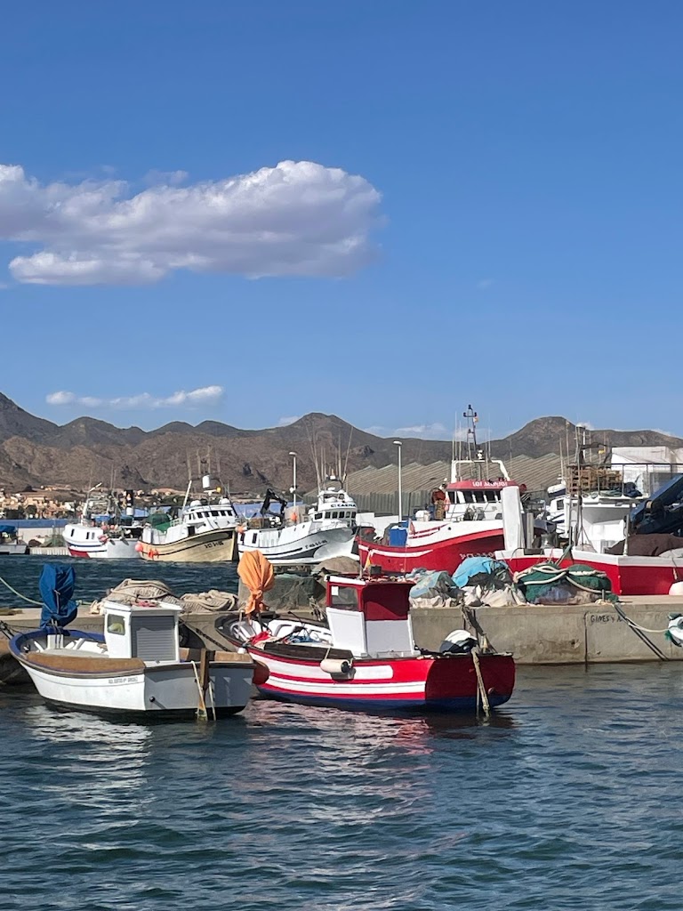 Talleres Puerto Mazarron S L