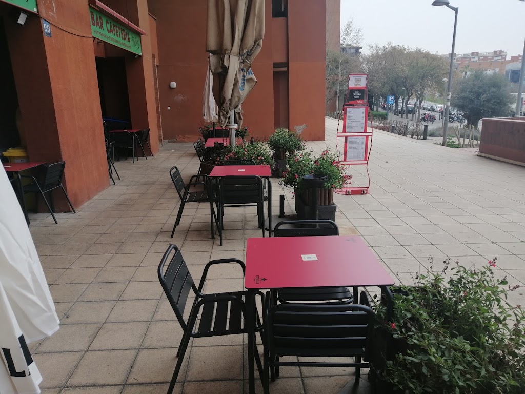 Bar Cafeteria Munoz yang — Ambiente