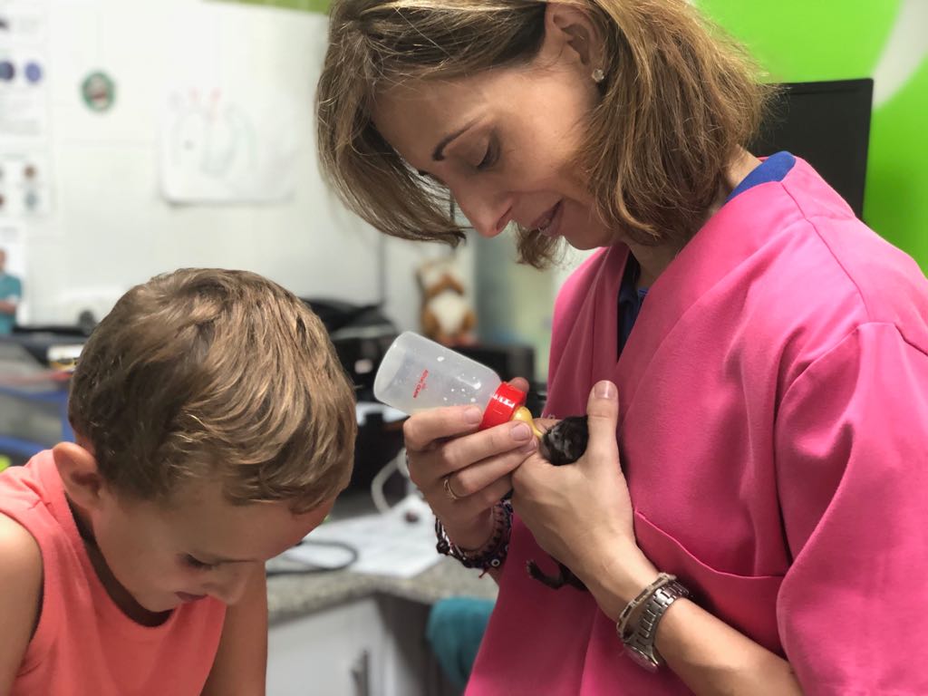 Clinica Veterinaria Menudes Potes