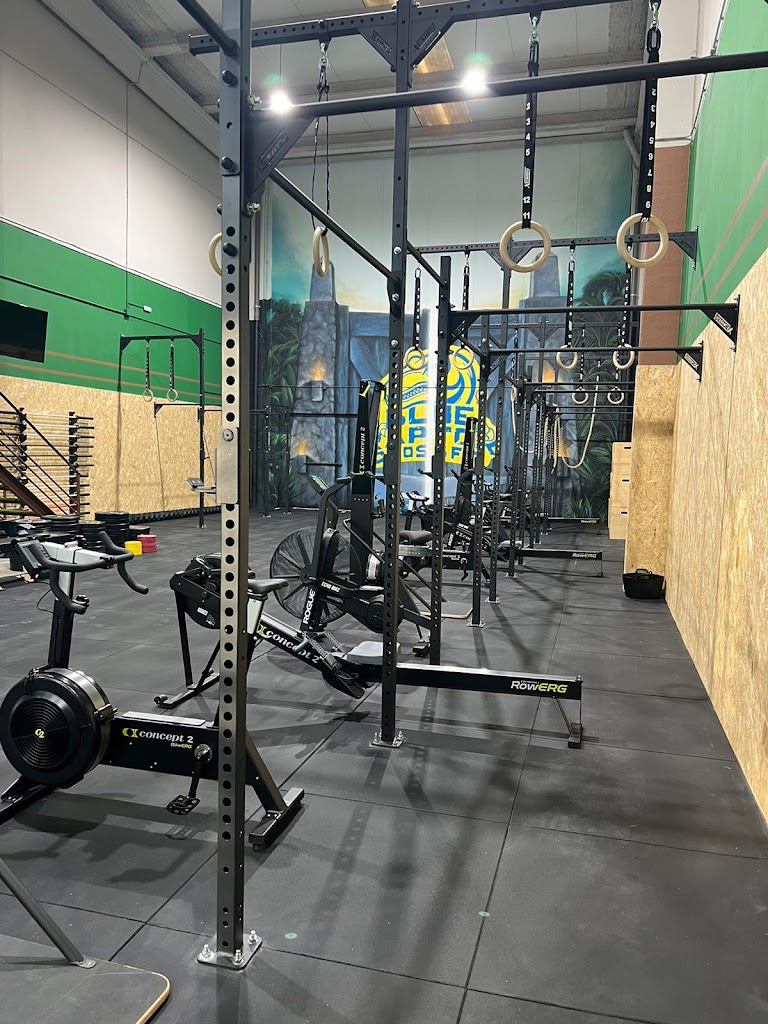 CrossFit Blue Raptor