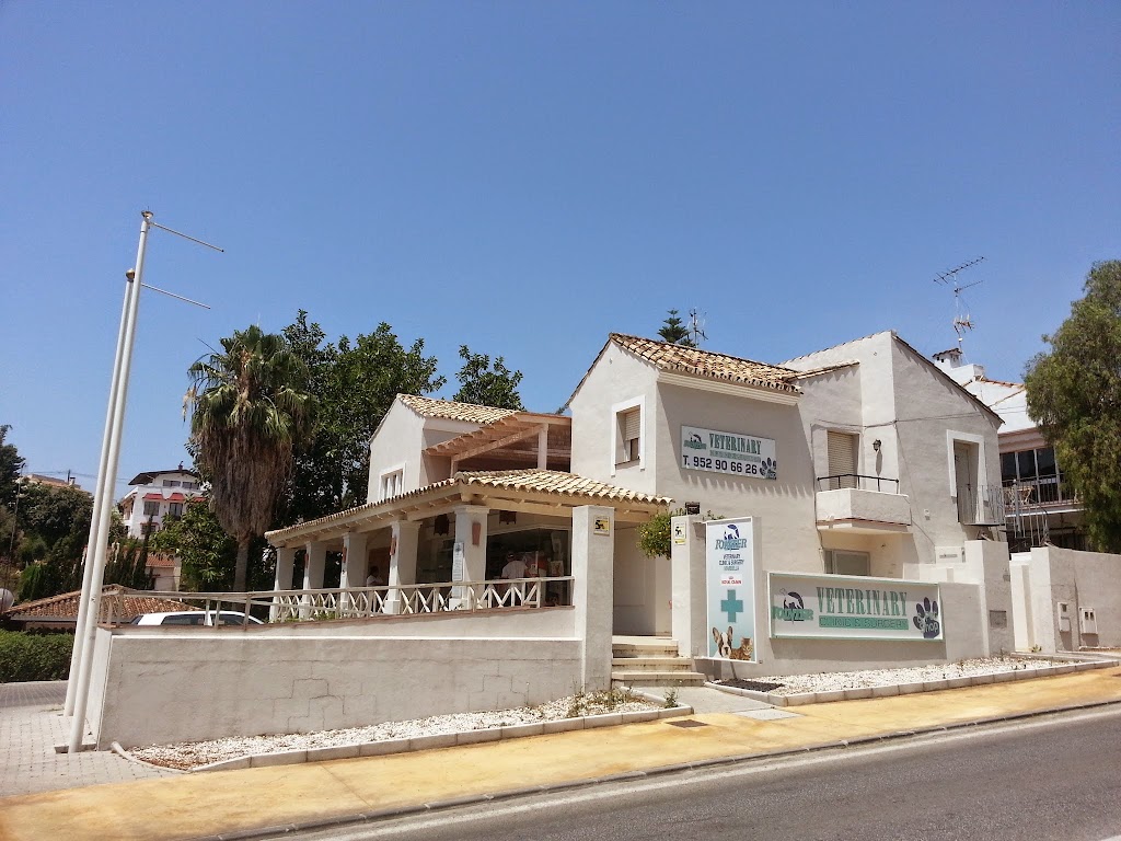 Pointer Veterinary Clinic Marbella