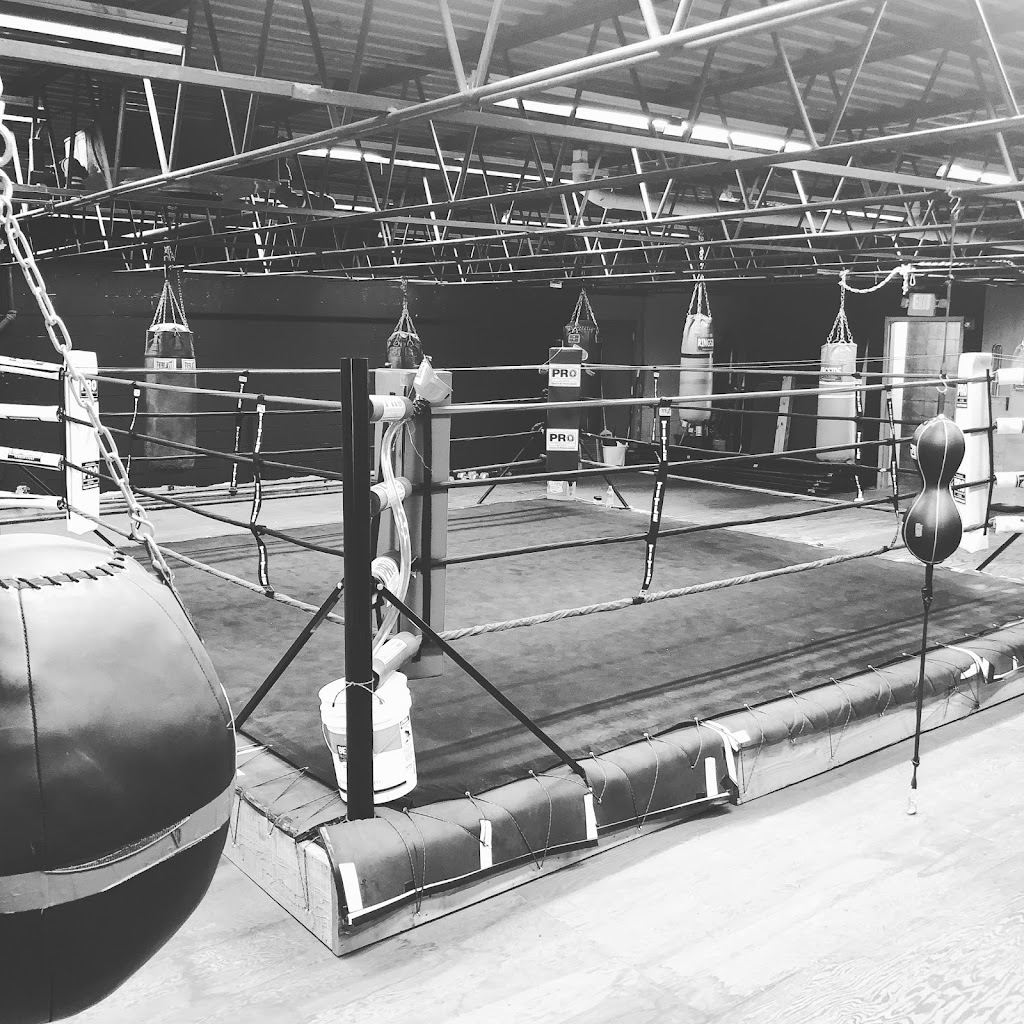  KO Contender Boxing Club / Kids boxing and fitness