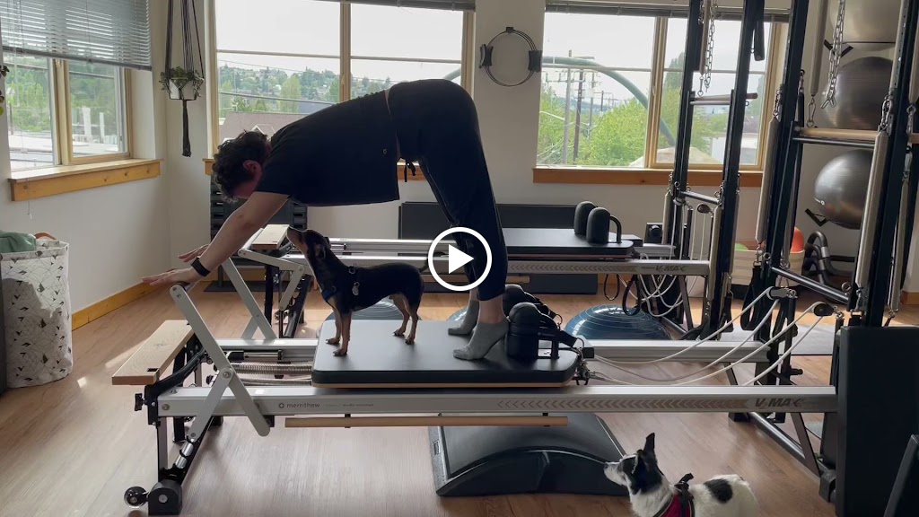  Seed Pilates + Movement Training