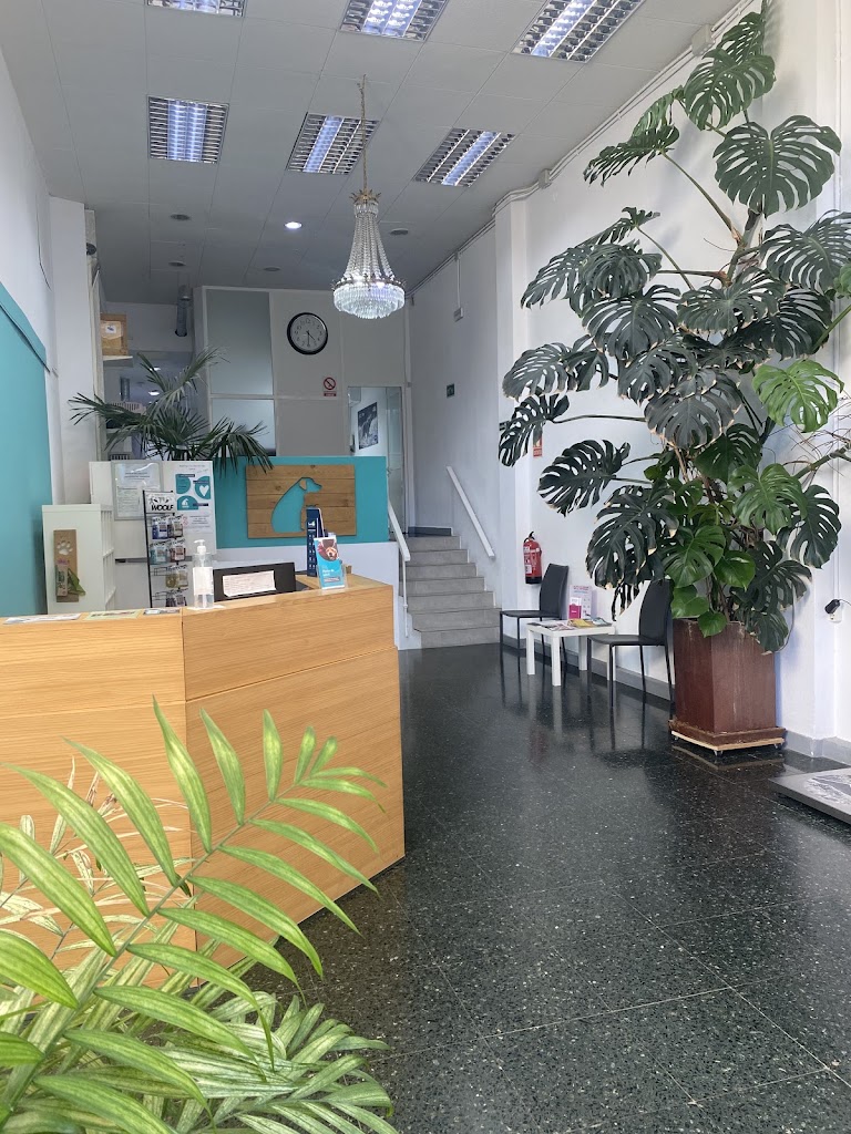 Clinica Veterinaria Robion — Del propietario