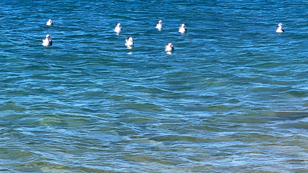 ISLA - Iside Services Lanzarote Accommodation