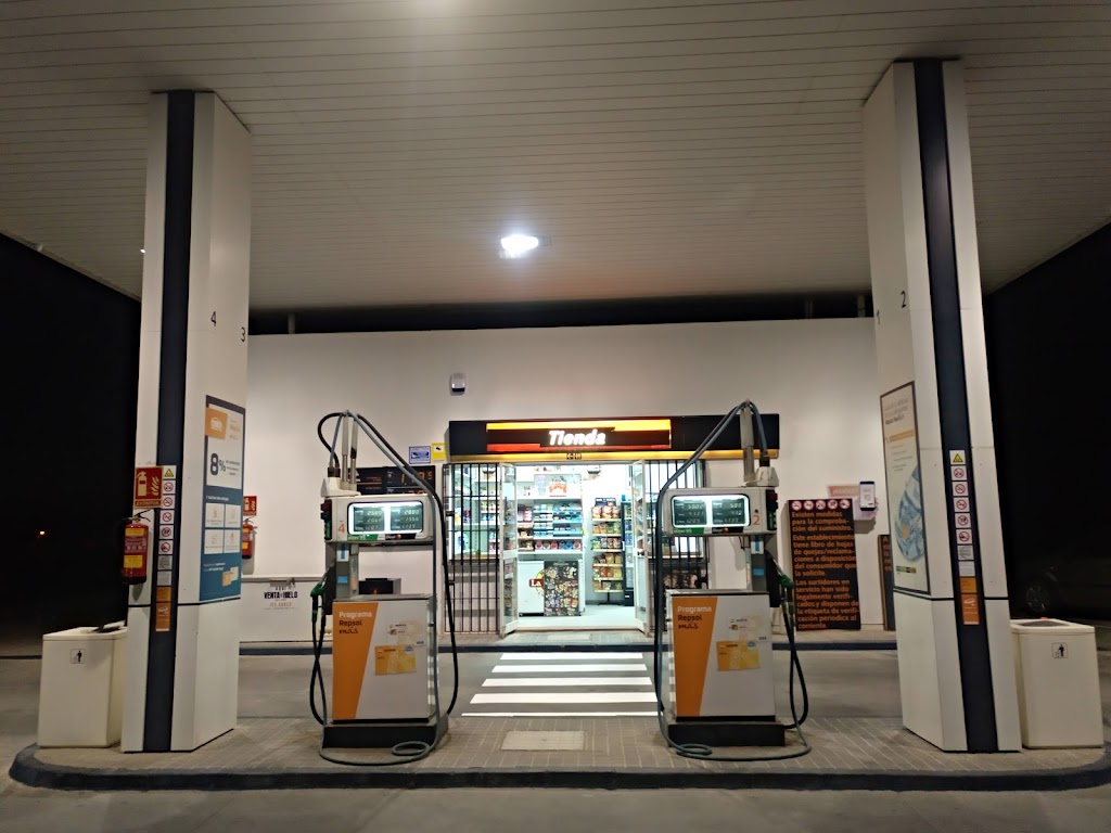 REPSOL - Banales S L — Del propietario