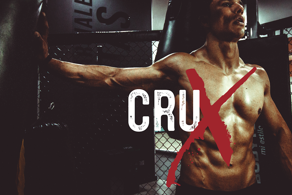  Crux Fitness