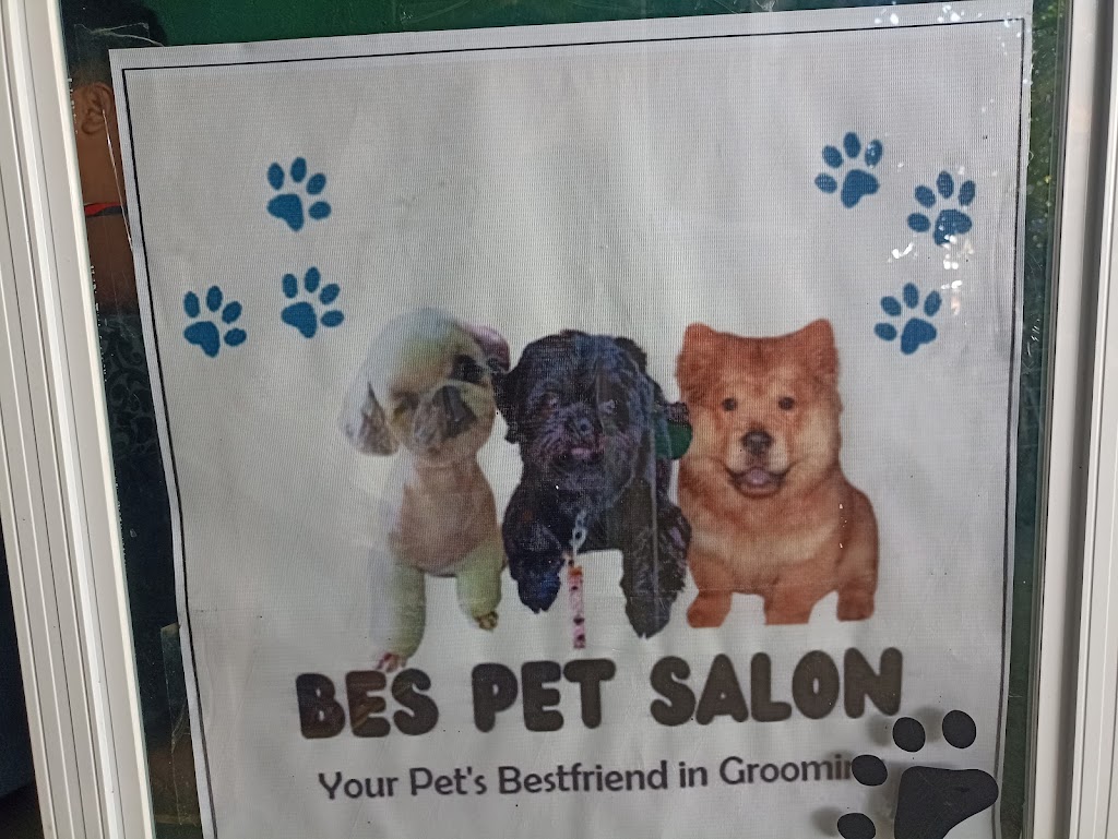 Perro
