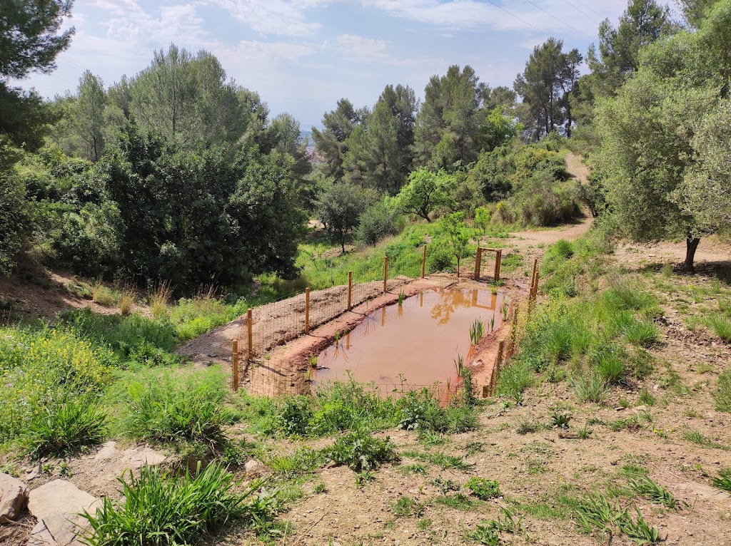 Montana Alba Rosa - Sierra de Miramar
