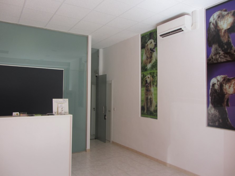 Blazquez Clinica Veterinaria