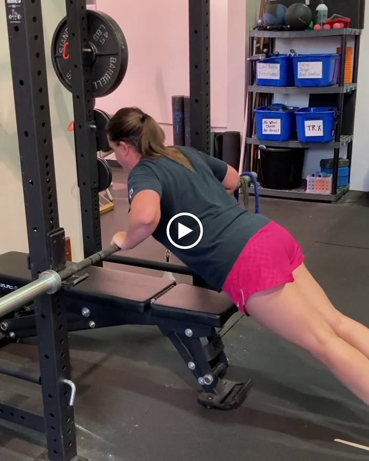  The GYM / SchneiderFIT