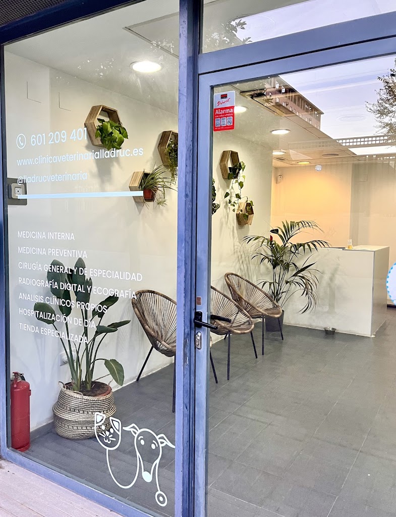 Clinica Veterinaria Lladruc