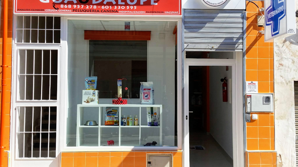 Clinica Veterinaria Guadalupe