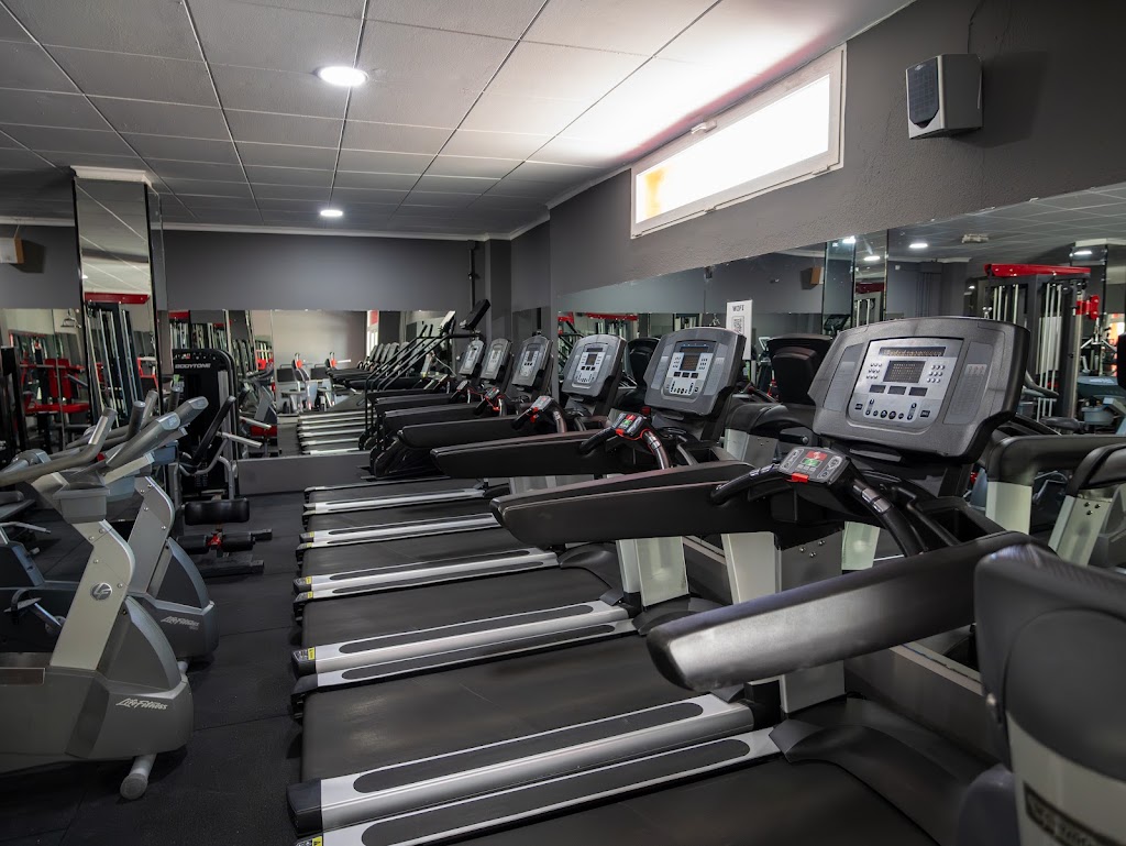 Body formas — Gimnasio