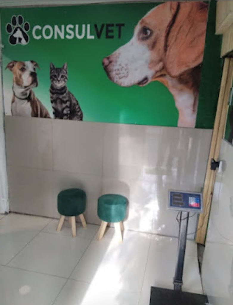 Consulvet en Puente-Alto