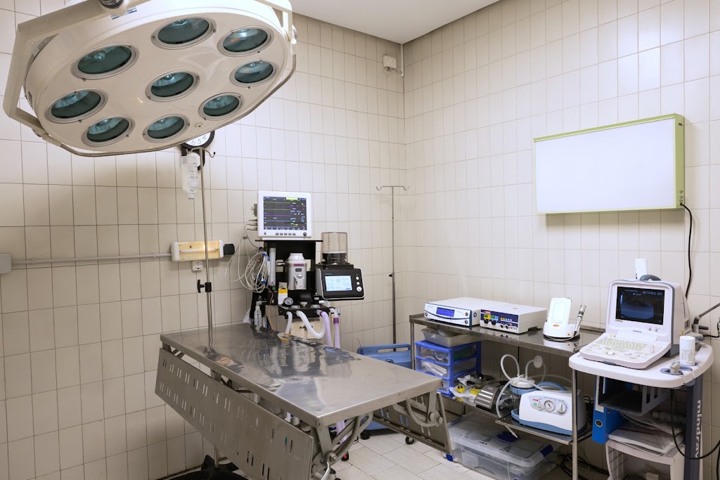 Clinica Veterinaria Arandilla — Del propietario