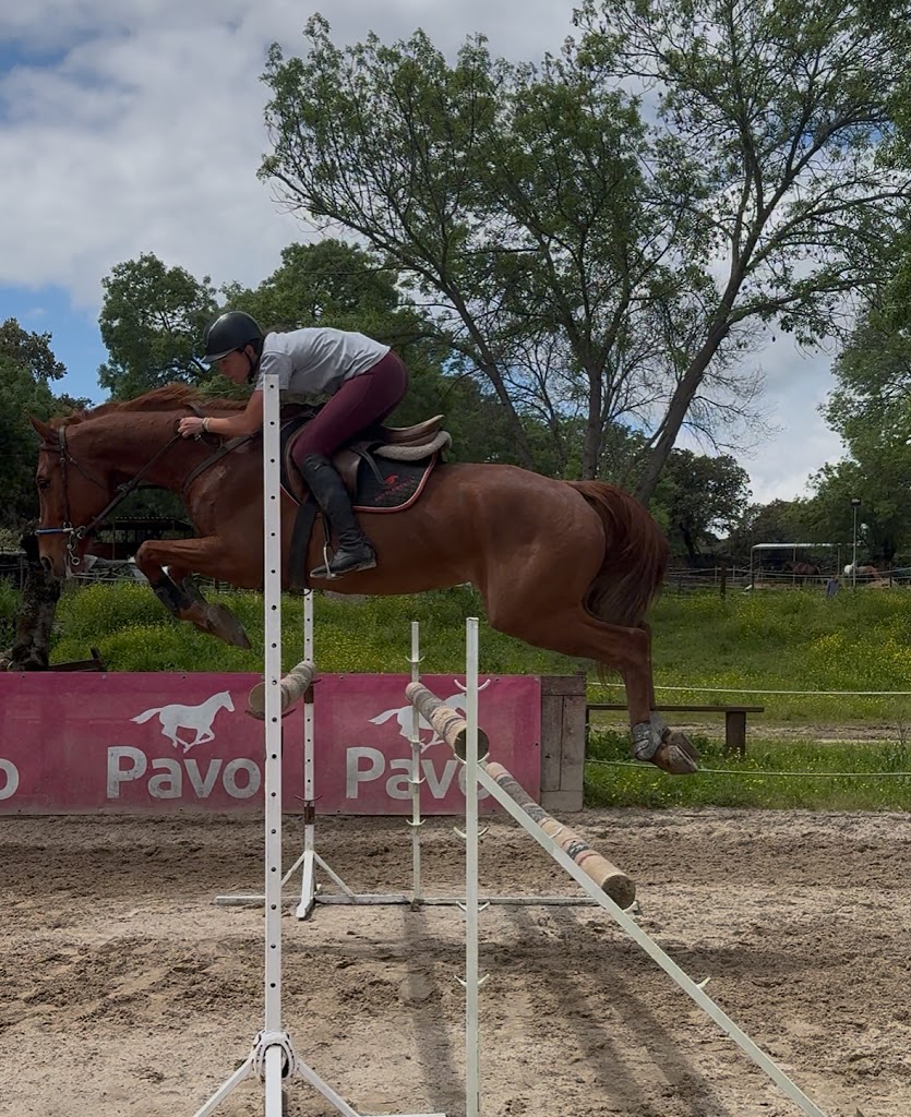 NMV Horses Escuela de Equitacion — Mas recientes