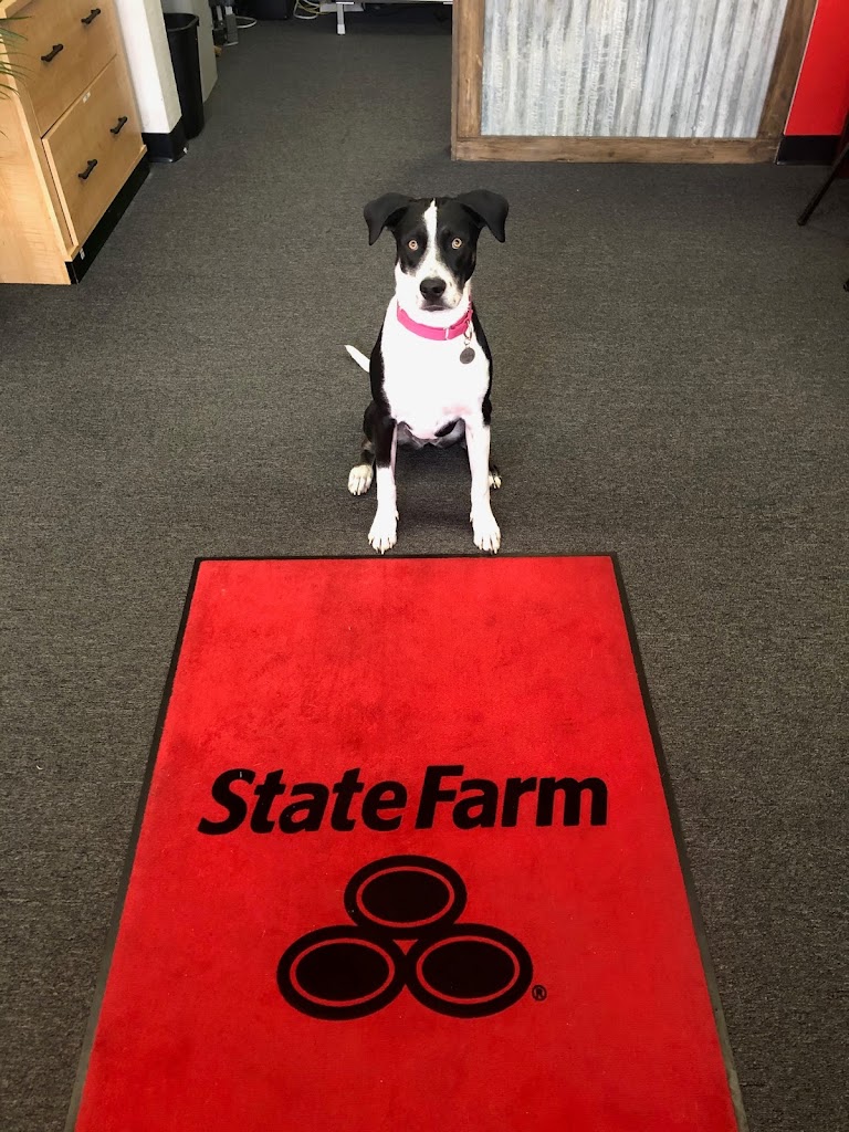 Gary Lorge - State Farm Insurance Agent