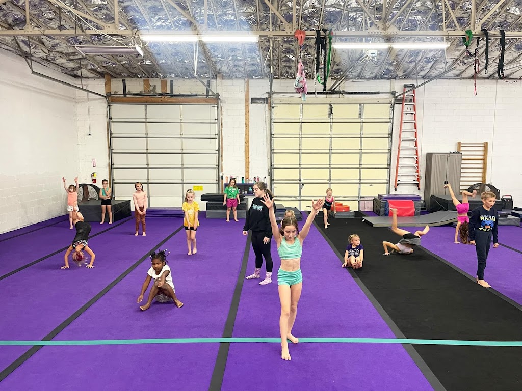  Paragon Performance Sports