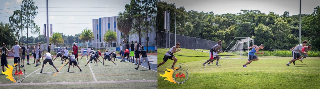  Ultimate Stomping Ground