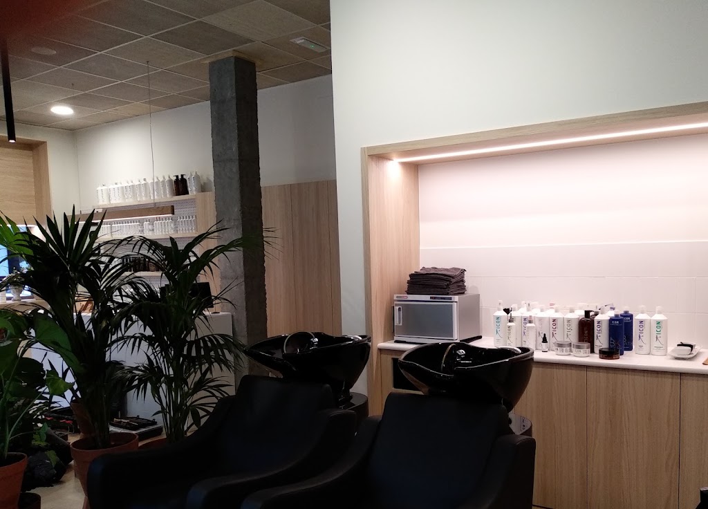 Peluqueria Unisex Branco E Negro — Interior