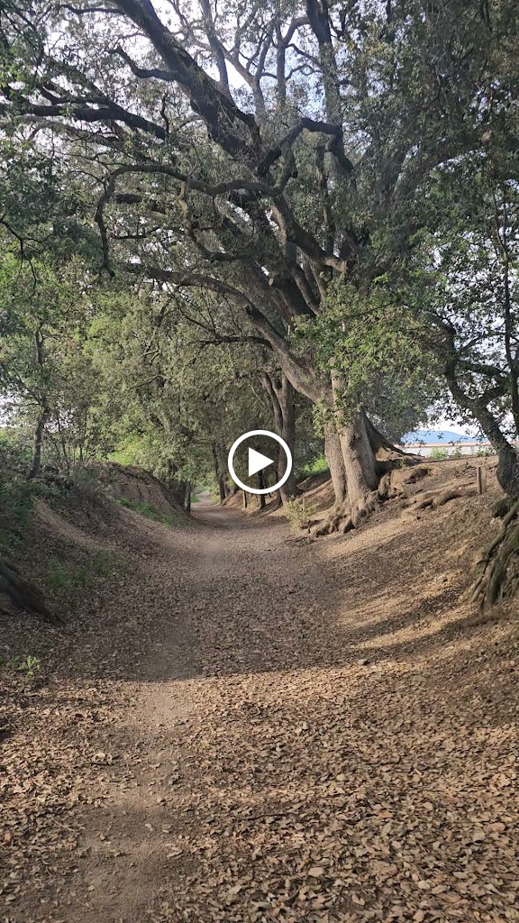 Cami Ral de Sant Antoni — Videos