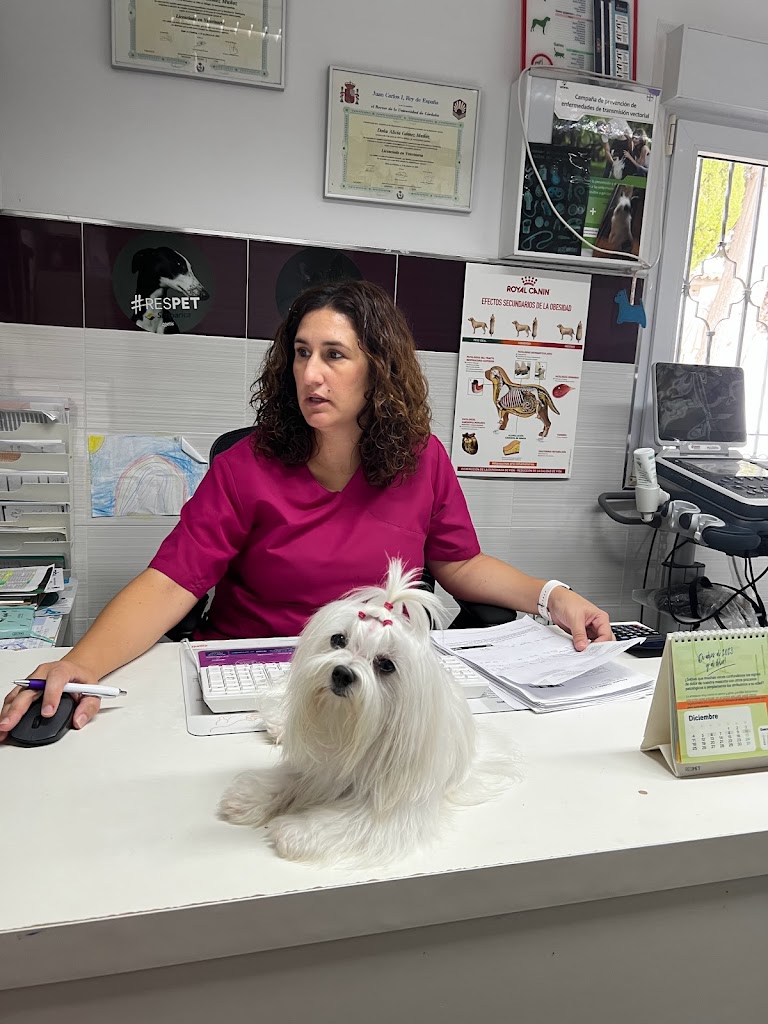 Centro Veterinario El Pinillo — Del propietario
