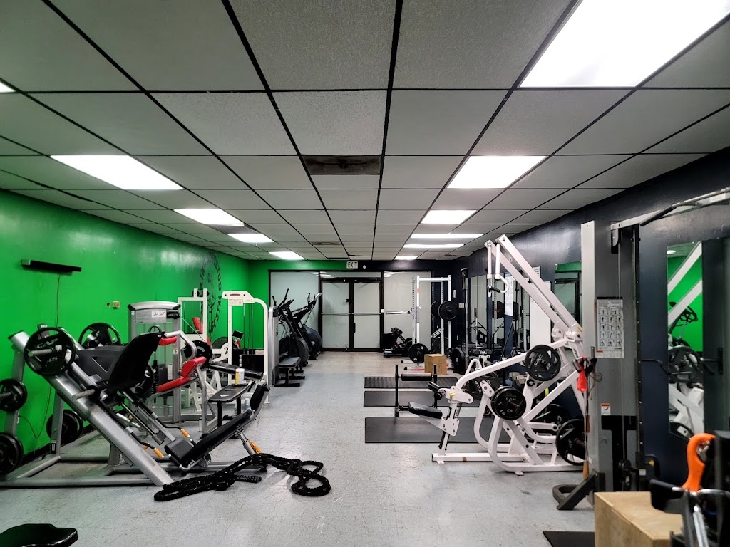  King Augustus Grind life Gym