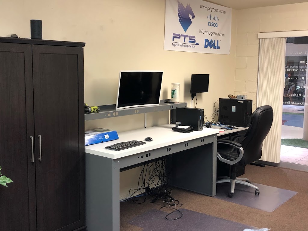 Pegasus Technology Services, Inc.