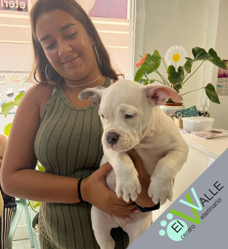 Centro Veterinario El Valle