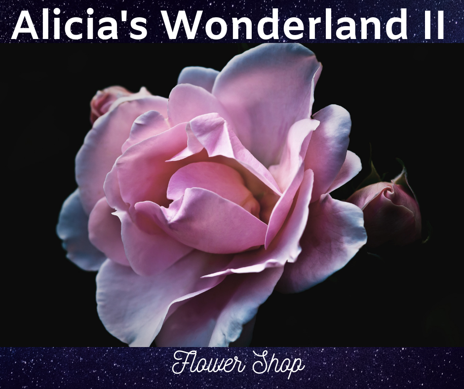 Alicia's Wonderland II