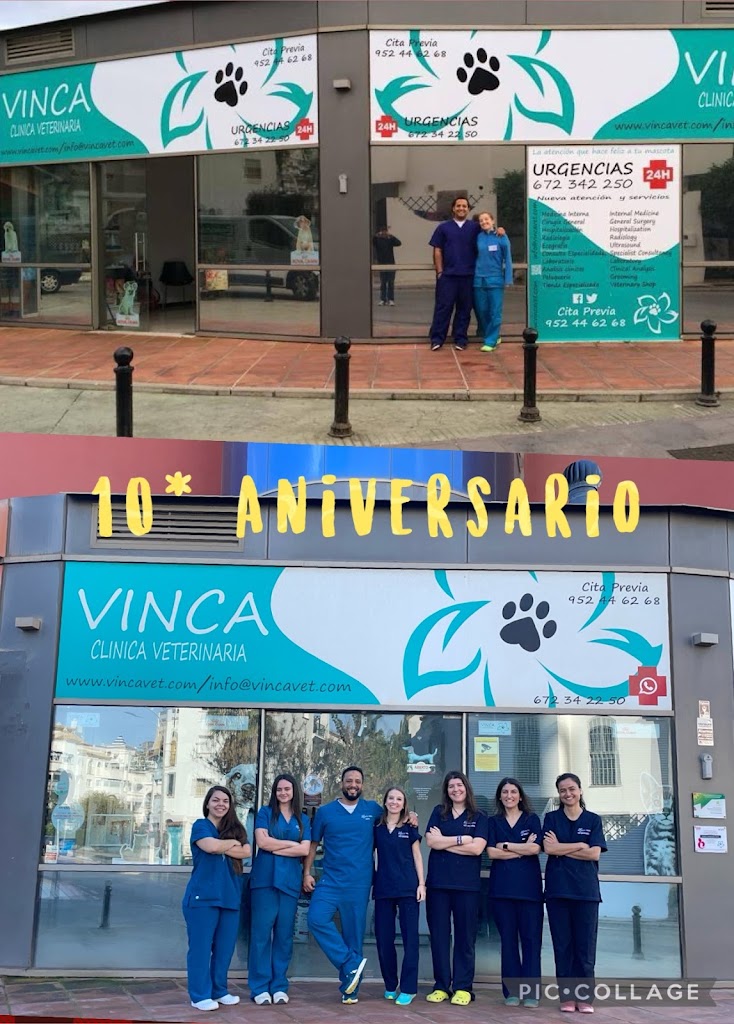 Clinica Veterinaria Vinca — Del propietario