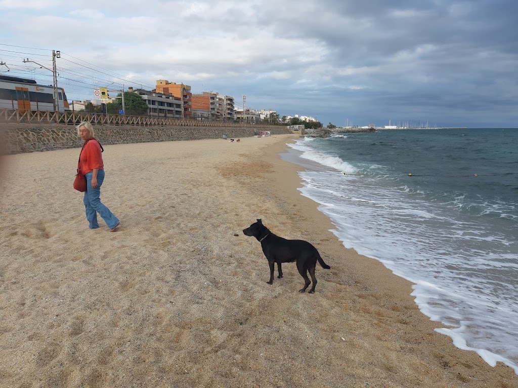 Parking Premia Gratis