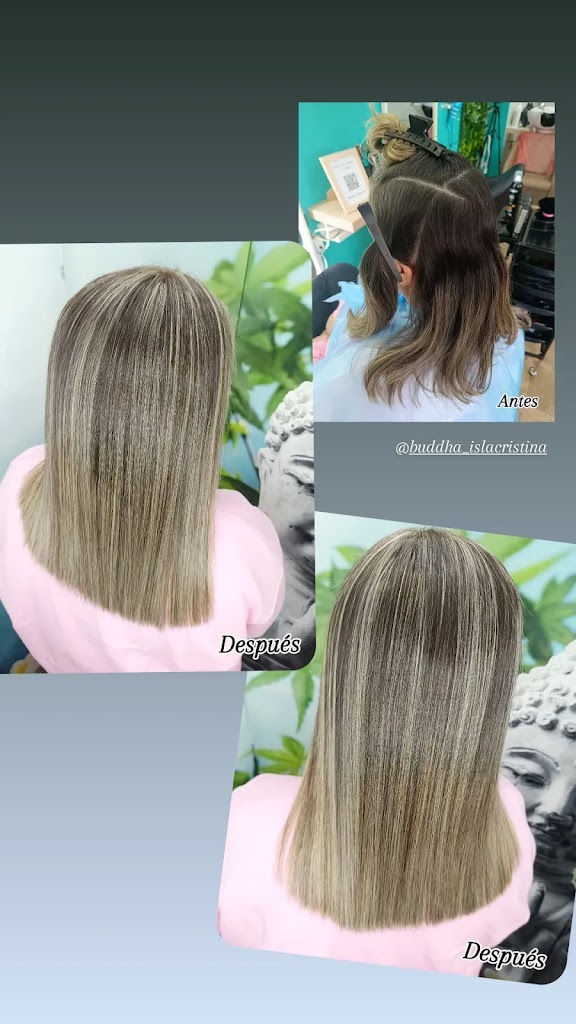 BUDDHA. PELUQUERIA & ESTETICA UNISEX — Mas recientes