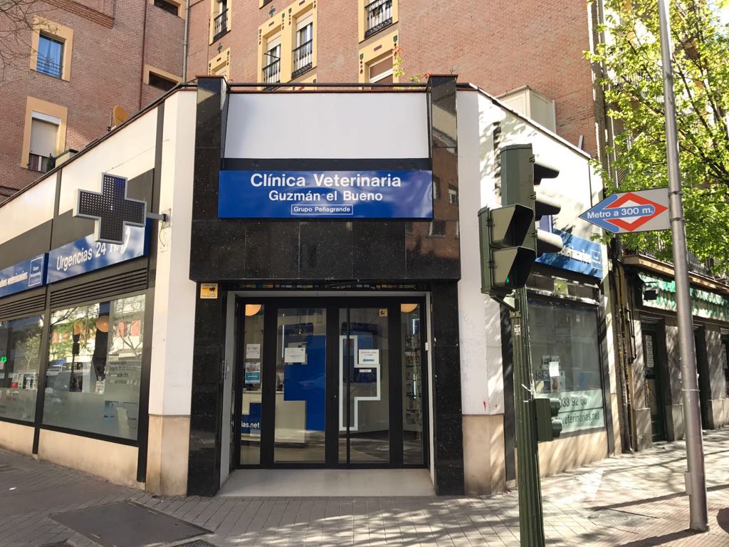 Clinica Veterinaria Guzman el Bueno (Grupo Penagrande)