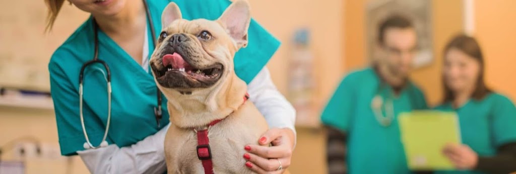 Pet Doctors Clinicas Veterinarias