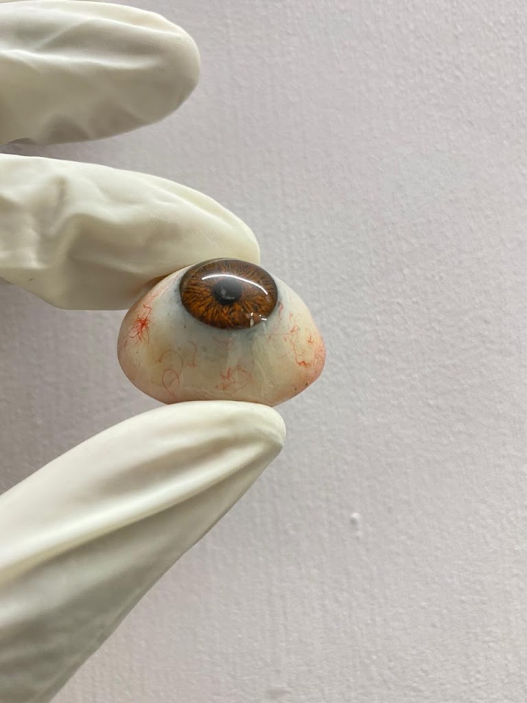 Avi Eye Clinic Artificial Eye Centre
