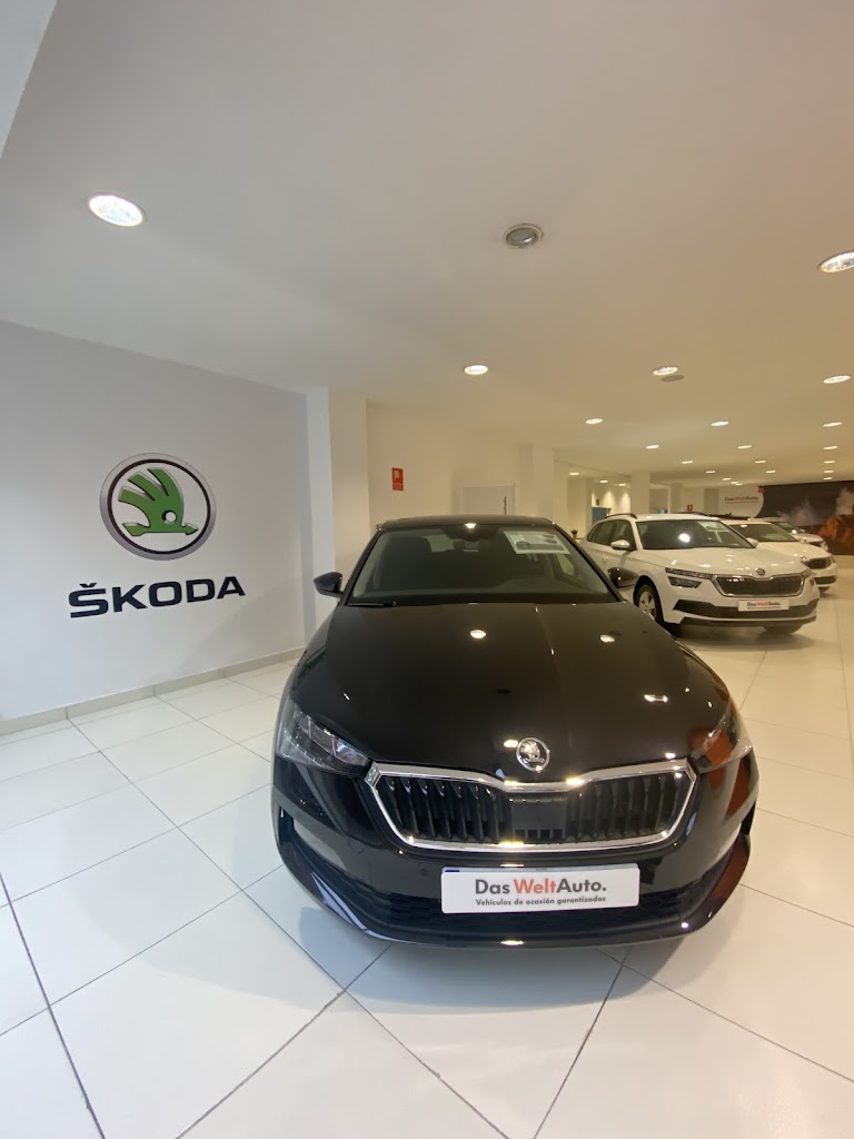 Concesionario Oficial Skoda Barakaldo — Interior