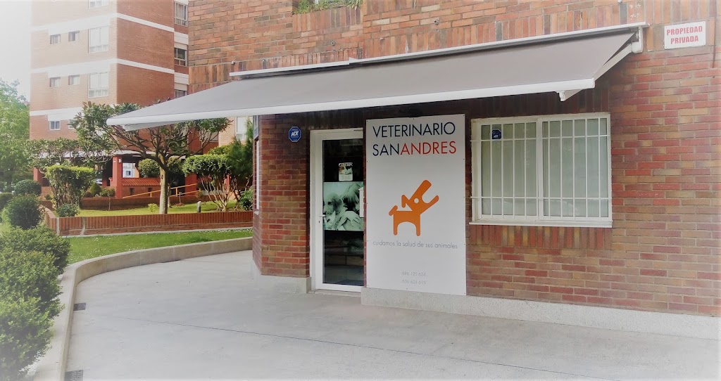 Clinica Veterinaria Candoval (Veterinario San Andres)