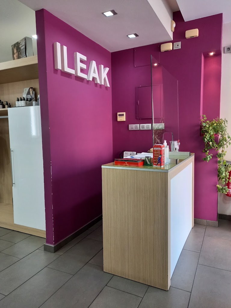 Peluqueria Ileak — Interior