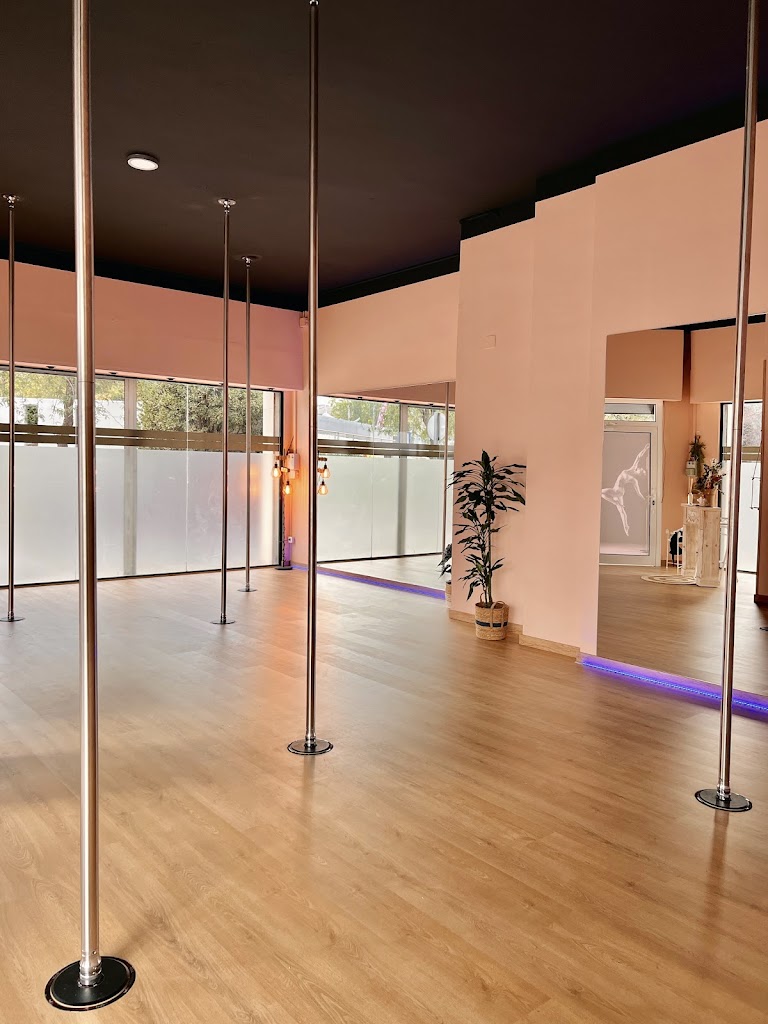 Butterfly Pole Dance Studio — Del propietario