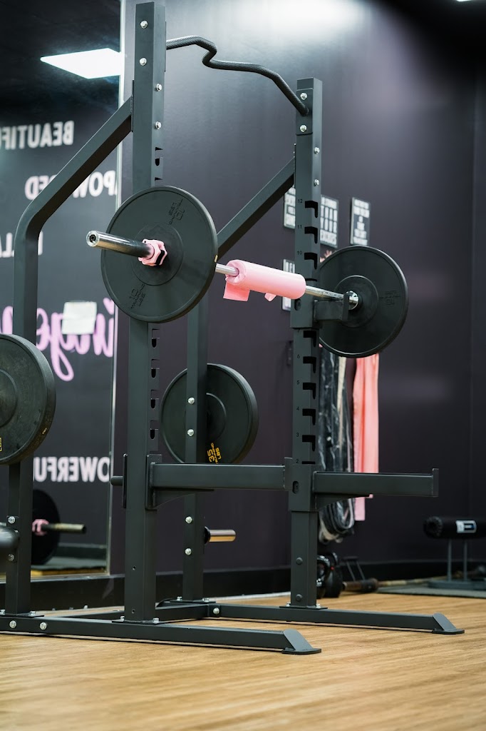  Stephitness by Iron Sight