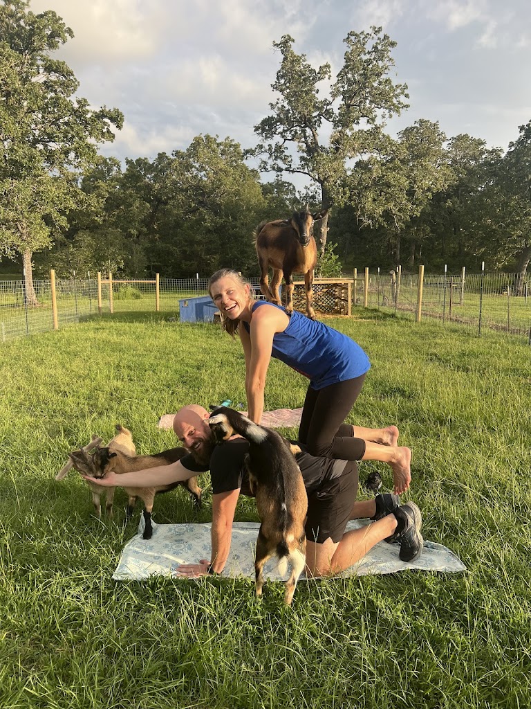  LTD Farms - Goat Yoga & Alpaca Pilates - College Station Area