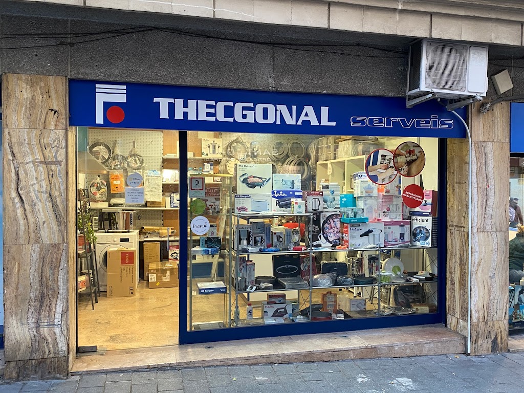 Thecgonal Serveis