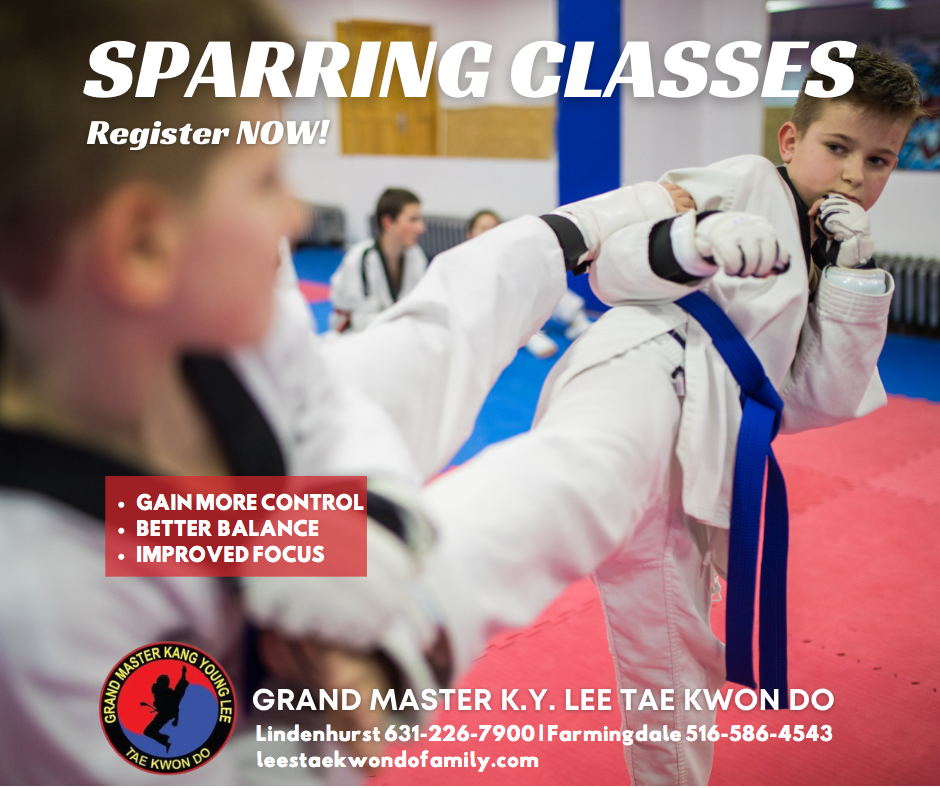  Grand Master K.Y. Lee Tae Kwon Do-Lindenhurst