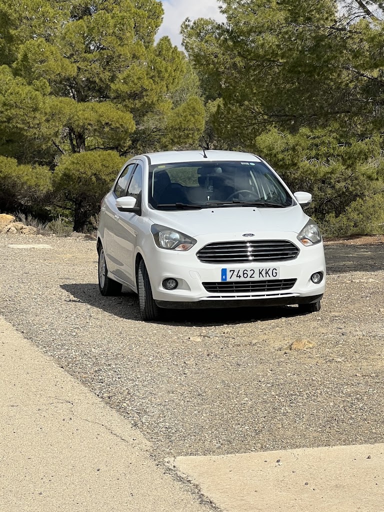 bolnuevo car — Mas recientes