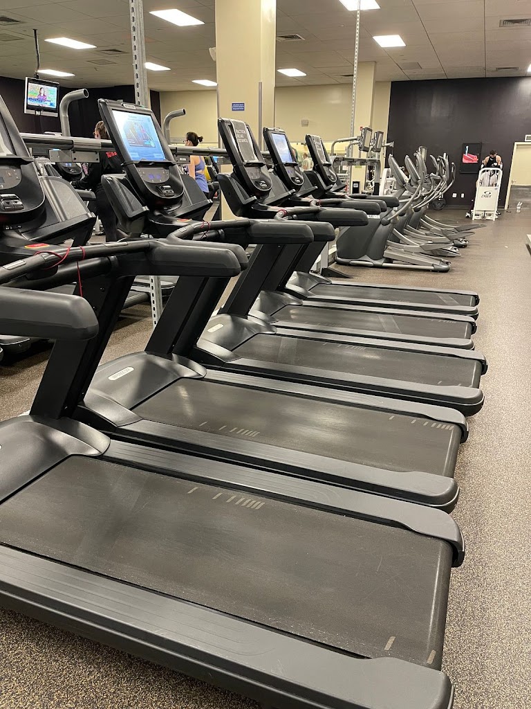  New York Sports Club