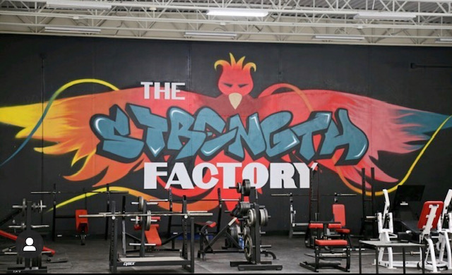  The Strength Factory