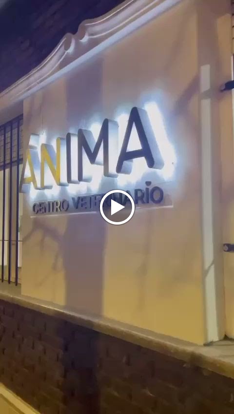Vídeos
